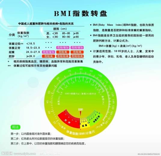 瘦身计划(减肥计划)
