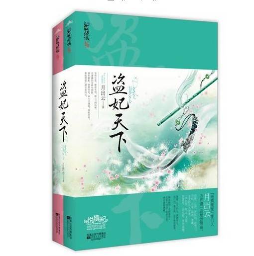 盗妃天下(2011年江苏文艺出版社出版的图书)