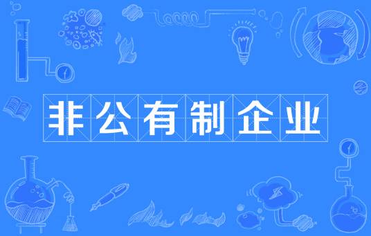 非公有制企业