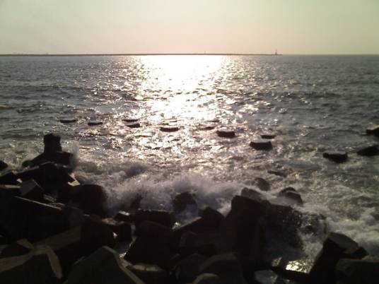 疯狗浪（一条较长的波浪）