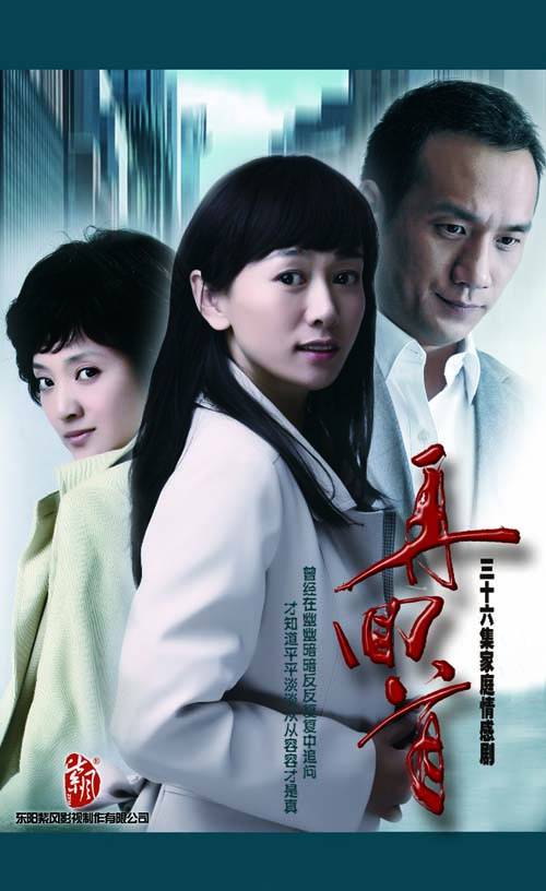 再回首（2011年斗琪执导电视剧）