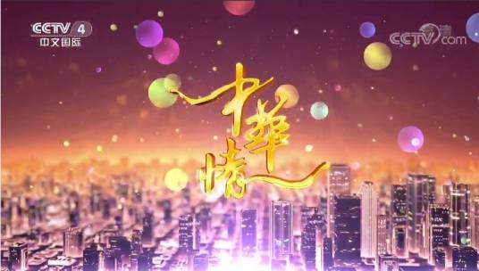 中华情(央视2003年1月创办的栏目)