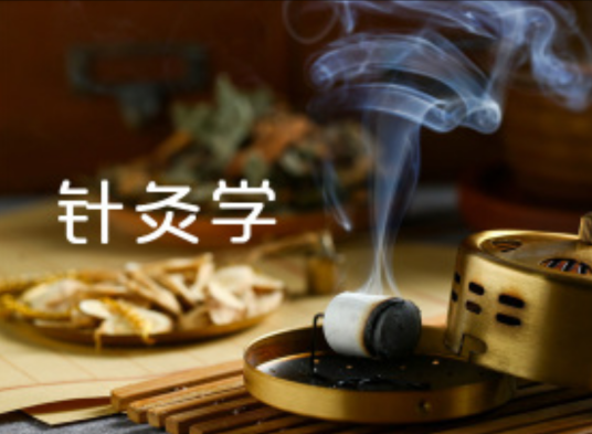 针灸学(湖北中医药大学建设的慕课)