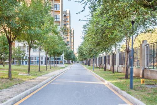 新都会（金华市的楼盘）