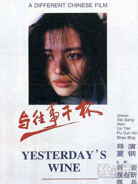 与往事干杯(1995年夏钢执导的剧情电影)