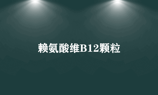 赖氨酸维B12颗粒