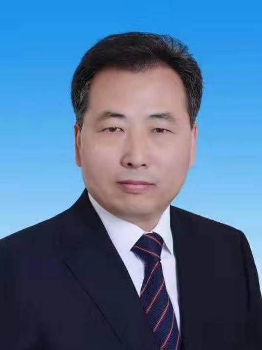 李志锋(陕西省西咸新区管委会副主任)