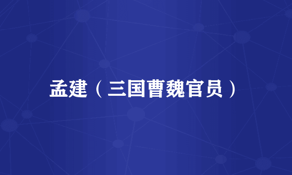 孟建（三国曹魏官员）