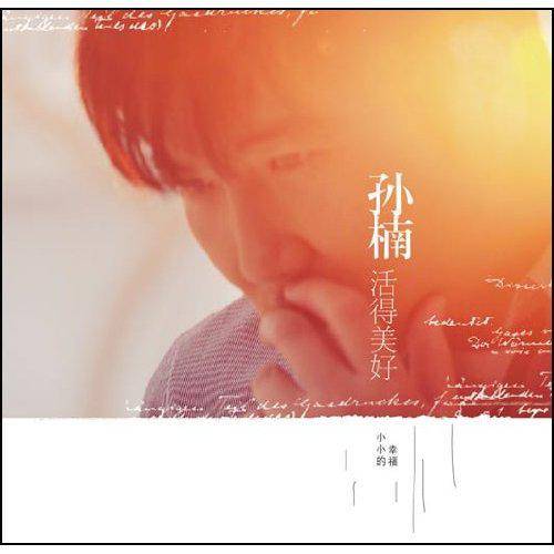 心里话(2010年由孙楠演唱的电影《盗版猫》主题曲)