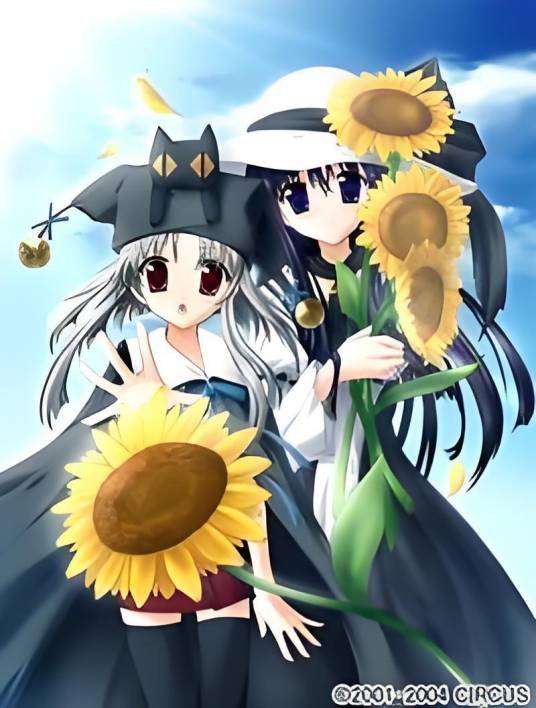 水夏（CIRCUS发售的游戏）