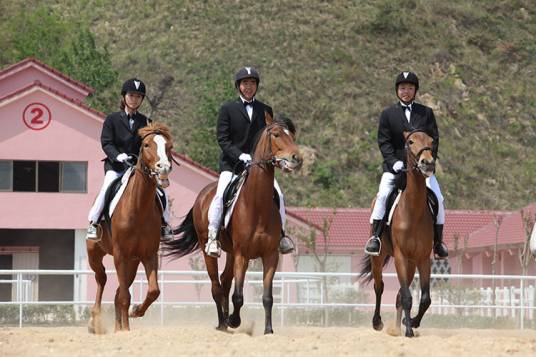 马术俱乐部