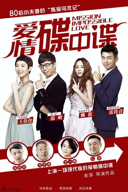 爱情碟中谍（2014年余淳执导的电视剧）