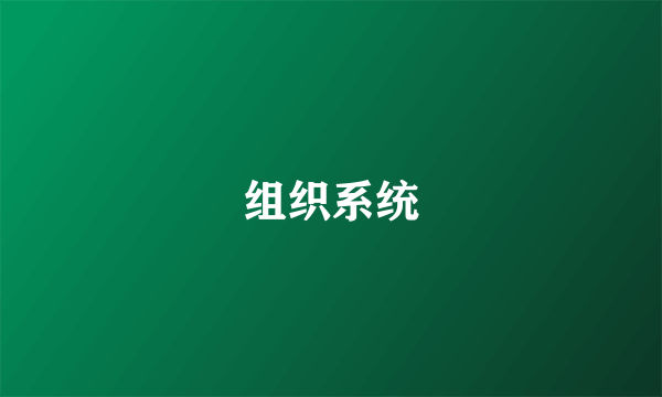 组织系统