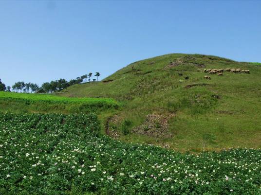 山包（汉语词语）