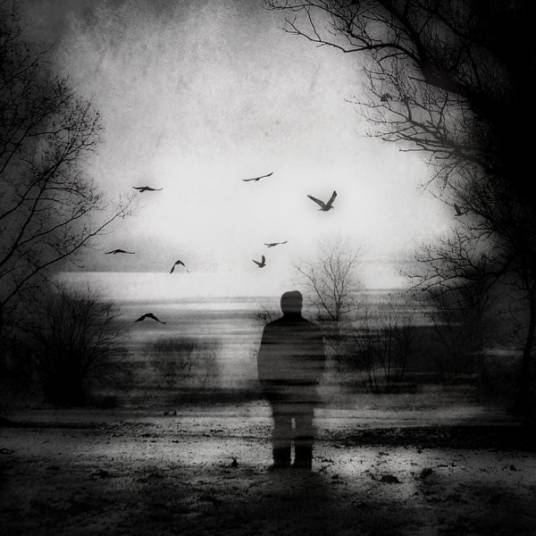 美术家（美术学术语）