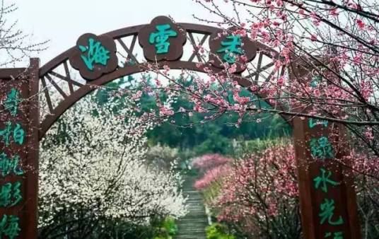 香雪海（苏州香雪海饭店）