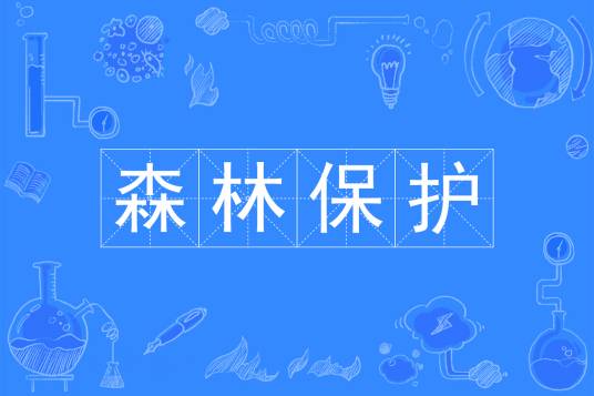 森林保护