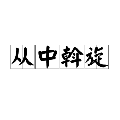 从中斡旋
