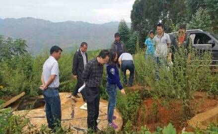 茶厂村（云南省寻甸县甸沙乡下辖村）