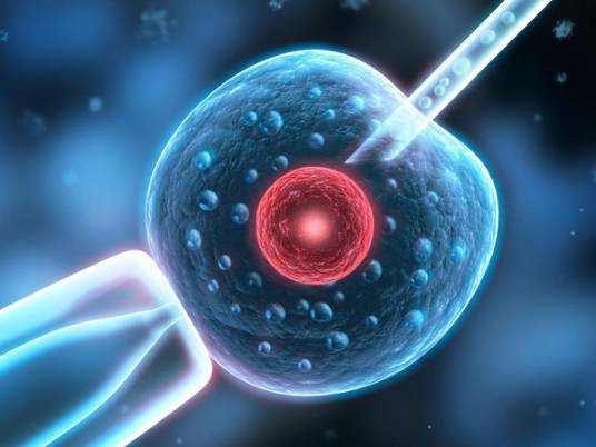 俄罗斯试管婴儿