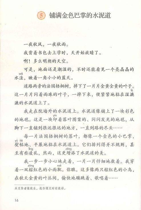 铺满金色巴掌的水泥道（张秋生创作的散文）