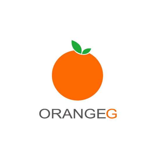 橙果信息技术有限公司