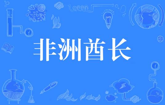 非洲酋长（网络流行词）