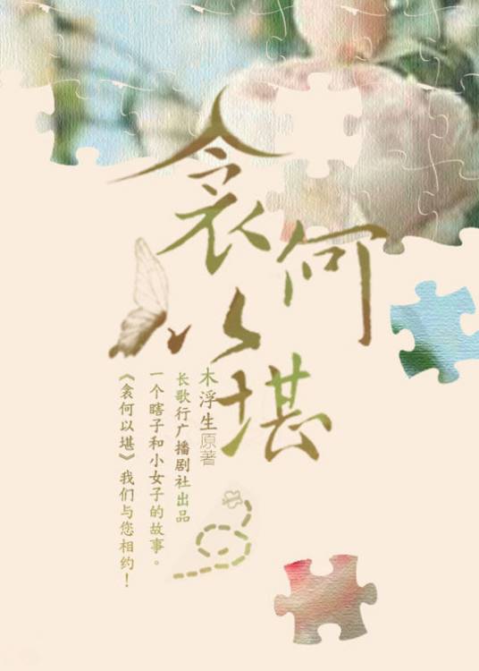 衾何以堪(2009年国际文化出版公司出版的图书)