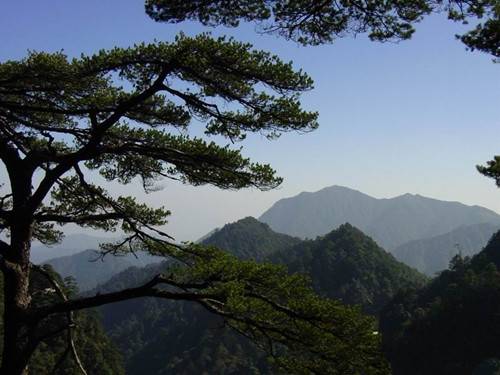 广东南岭国家森林公园