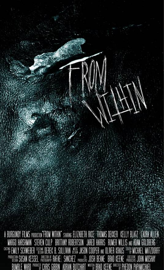 由内而外(美国2008年芬顿·帕帕迈可执导的惊悚电影)