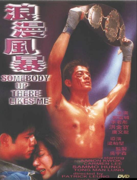 你是我的英雄(1996年梁柏坚执导的动作电影)