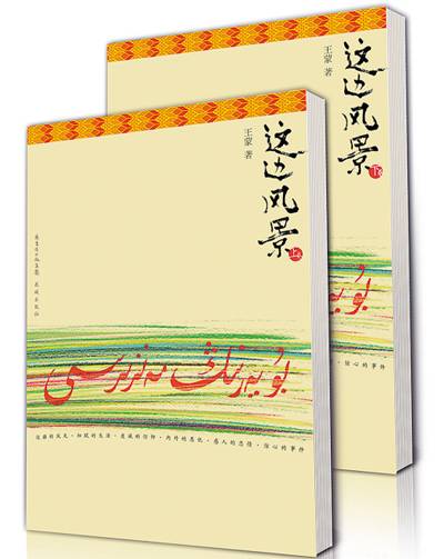 这边风景(王蒙著长篇小说)
