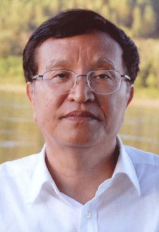 张国宝（国家发展和改革委员会原副主任）