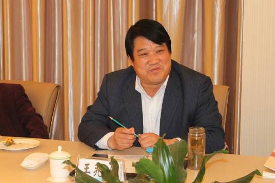 王兆山(中国作家协会会员)