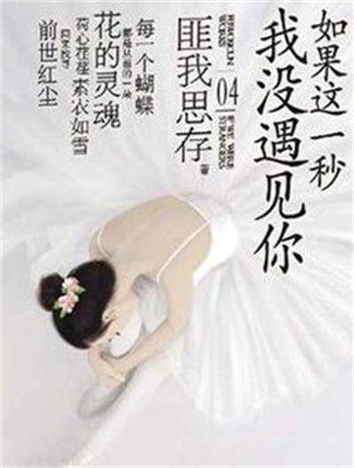 如果这一秒，我没遇见你（2010年新世界出版社出版的图书）