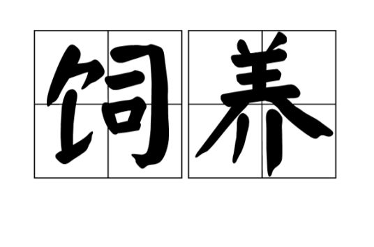 饲养（汉语词汇）