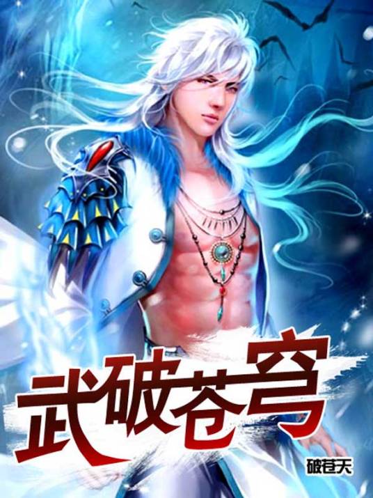 武破苍穹（木易言创作的网络小说）