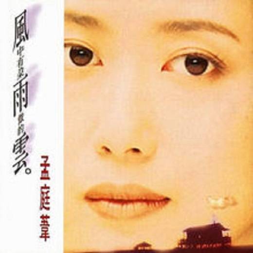风中有朵雨做的云（1993年孟庭苇演唱的歌曲）