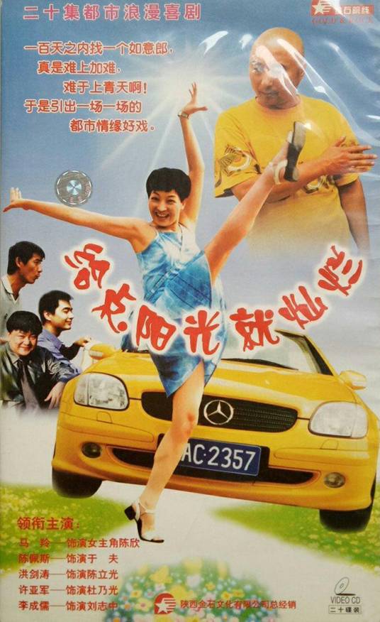 给点阳光就灿烂（2002年马羚主演的电视剧）