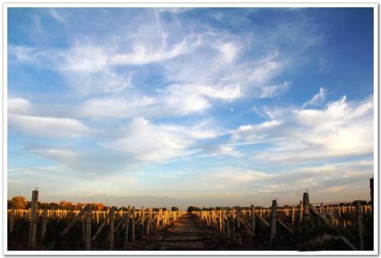 乌鲁木齐五一农场