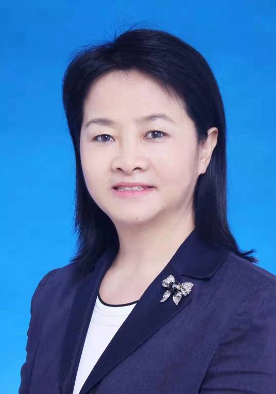 杨玲(湖北省武汉市委常委、组织部部长,市委党校校长)