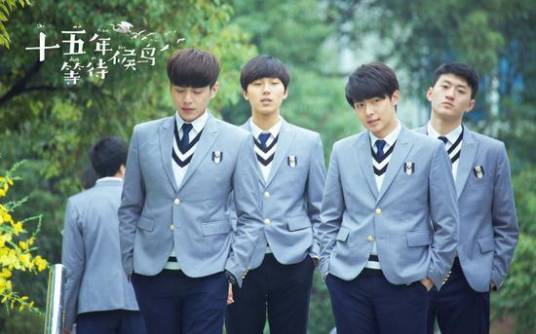 青春年华（电视剧《十五年等待候鸟》插曲）