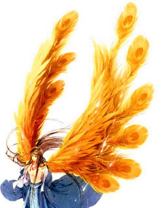 禹司凤（小说《琉璃美人煞》男主角）