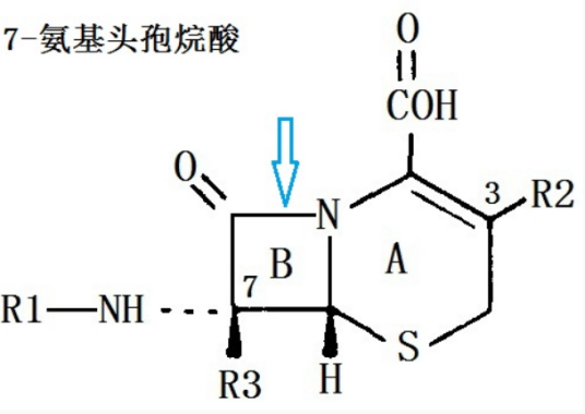 7-氨基头孢烷酸