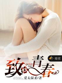 致青春（爱太温柔创作的网络小说）