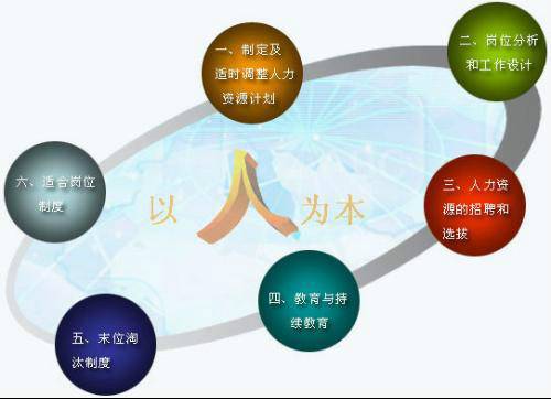 人力资源开发（管理学分支）