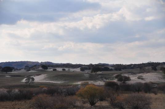 莽原(鲁迅主编杂志)