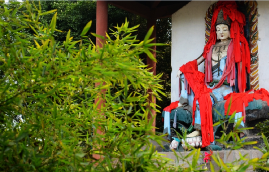 紫竹林(浙江省普陀山紫竹林)