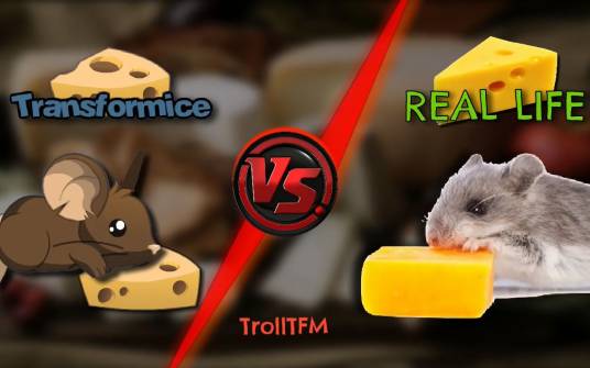 transformice