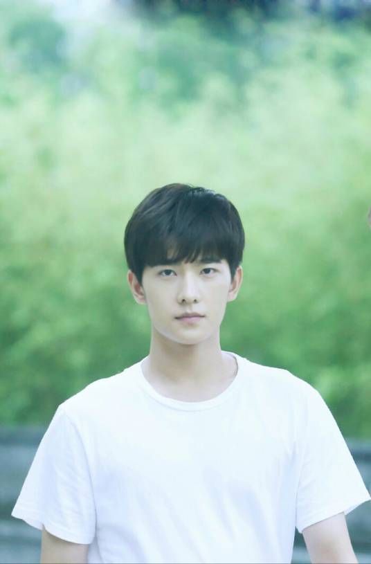 若白(电视剧《旋风少女》男主角)